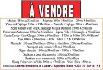 Terrain Hectare Verger A Vendre Partout Senegal